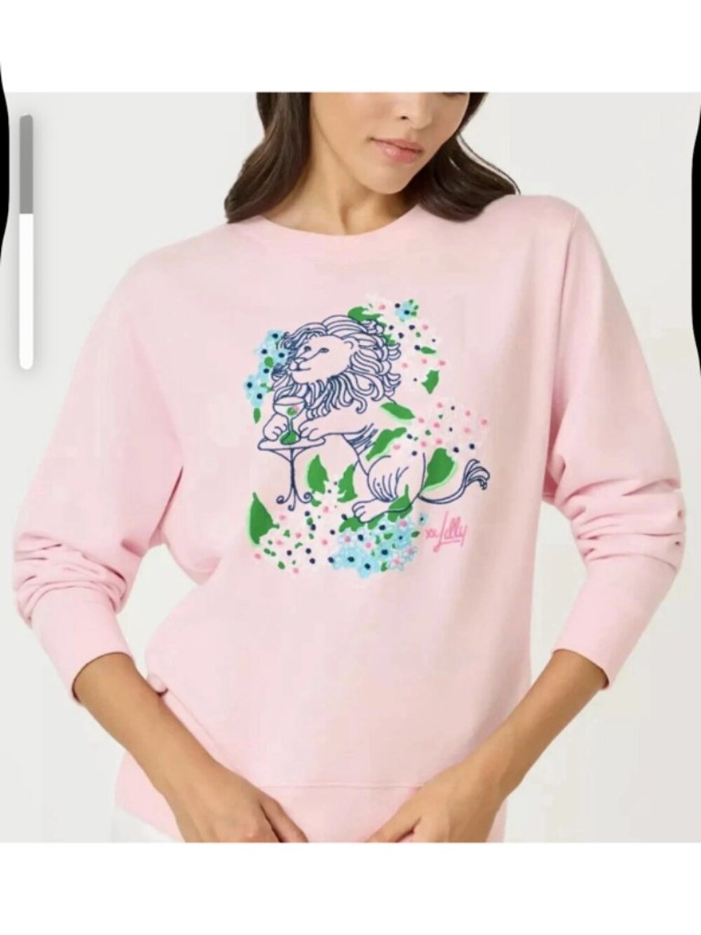 New Lilly Pulitzer Ballad Sweatshirt Multi Lydia the Lion Embellishment $128